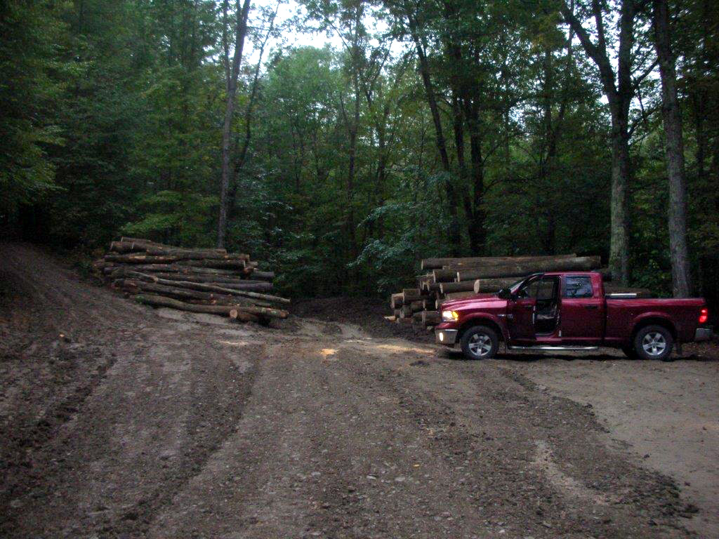 timber-harvesting-services